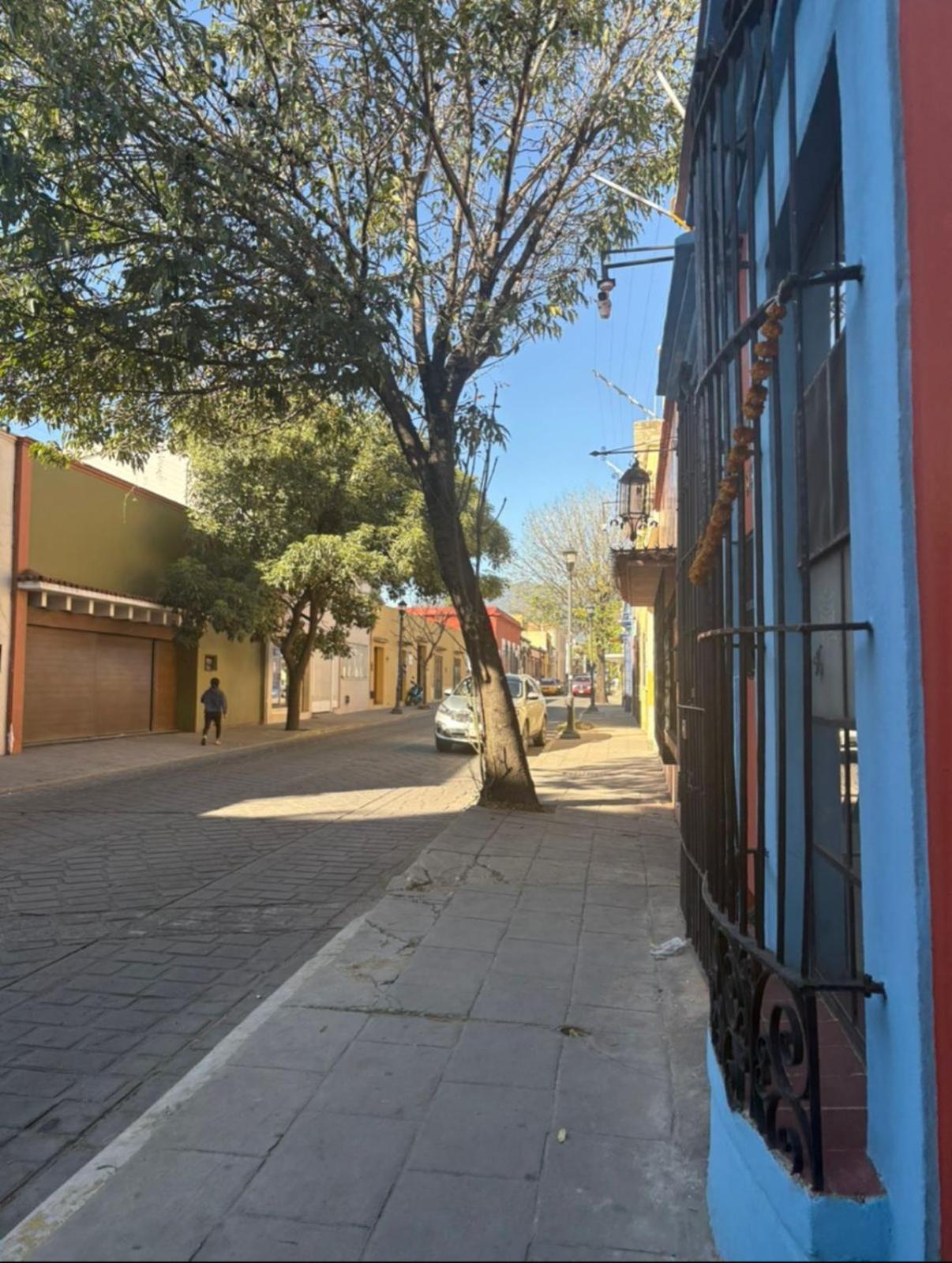 Casa Oaxaca Villa Dış mekan fotoğraf